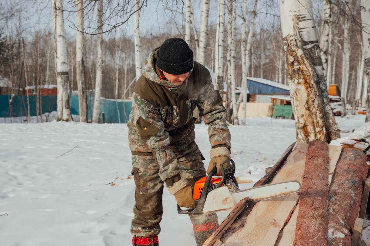 The Steps Involved in Our Tree Care Process in Lake Bryan, TX